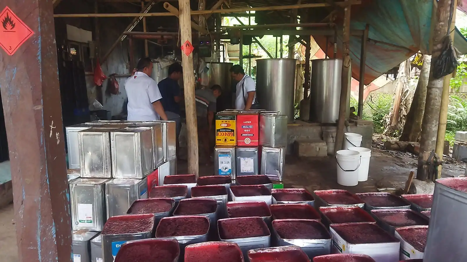 Cincau Berformalin Buat Heboh Warga Serang, BBPOM Musnahkan 12 Ton Cincau